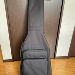 【限定カラー& Mighty Plug付き】 Aria Pro II 714-AE200の画像