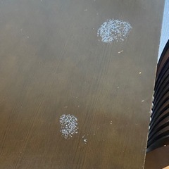 ダイニングテーブル椅子セットの画像