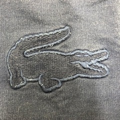 【LACOSTE 】ラコステ　紺　Mサイズの画像