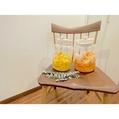 発酵教室🍋の画像