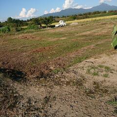 残土(畑土、庭土、腐葉土)譲ってください