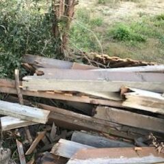 伐採木等【交渉中】の画像