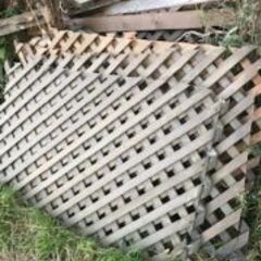 伐採木等【交渉中】の画像