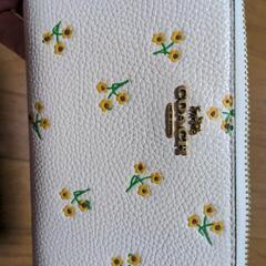 coach 長財布の画像