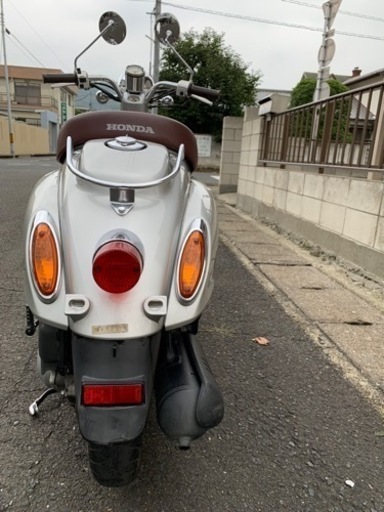 AF54　ジョルノクレア