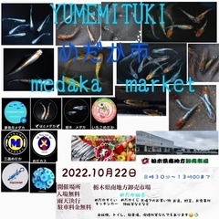 めだか市　10月22日　YUMEMITUKI MEDAKA MA...