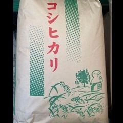 残り1袋❗️新米❗️令和4年収穫こしひかり30kg