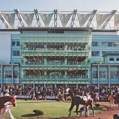 オープニングスタッフ大募集♪　大井競馬場（L-Wing）アジア料理テイクアウト専門店♪アジアバル００１の画像