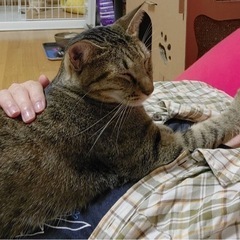 仲良しの二匹です！
