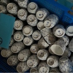 【業務用】お猪口　１つ10円