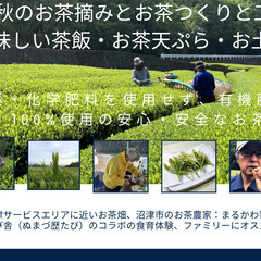 11/3：秋のお茶摘みとお茶つくりと工場見学＆美味しい茶飯・お茶...