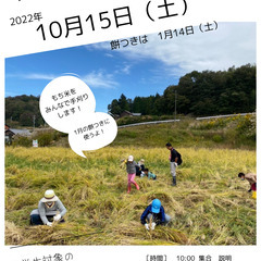 10/15 （土）稲刈りをしよう✨手刈りでもち米を収穫！家族で親...