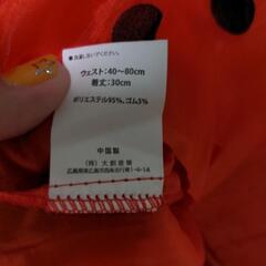ハロウィンコスチューム　てんとう虫　衣装の画像