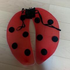 ハロウィンコスチューム　てんとう虫　衣装の画像