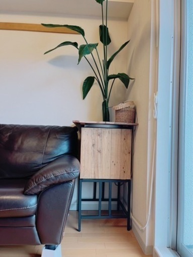 観葉植物オーガスタ（プランタースタンド、プランターカバー、天板付き）