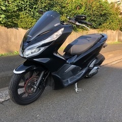 PCX jf81 自賠責保険付き　都筑区