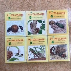 ファーブル昆虫記の画像