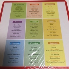 United States BINGO アメリカ州名カードの画像