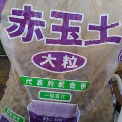 赤玉土　大粒