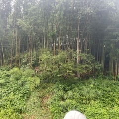 竹の粉砕作業　(農業用資材の生産)の画像