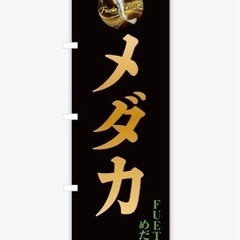 FUETAめだか　企業様歓迎　エントランスや待合室に