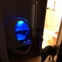 キャットロボット Open Air  自動猫トイレの画像