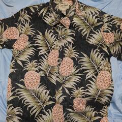 コストコにて購入