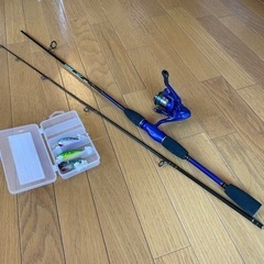 釣竿 子ども向け ルアー付き (対象年齢6才以上)