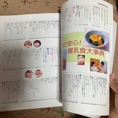 これで安心離乳食大辞典の画像