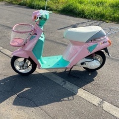 CARNAパステルカラー仕様 (Goose) 新富士のスズキの中古あげます