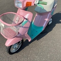 CARNAパステルカラー仕様 (Goose) 新富士のスズキの中古あげます