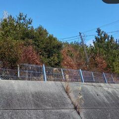 三宮から20分の山、売買、等価交換、分割等色々相談のります。神戸市北区、駅から徒歩圏内の約1500坪 - 神戸市
