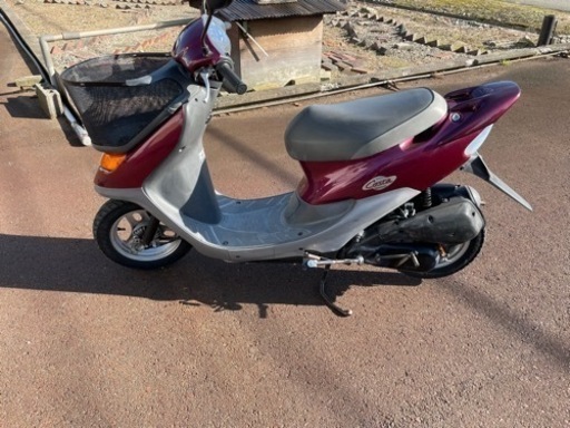 ライブディオチェスタ　2サイクル