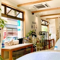 【アルバイト・パート】【基本店舗勤務たまに集荷配達の運転】〜洗濯代行、クリーニングの受付、洗濯物の集荷配達など【バイト時給1,000円〜！】の画像