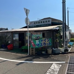 メダカ販売 - 富士市