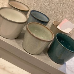 新品　HANNARI はんなり６点セットの画像