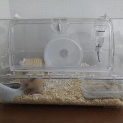 ハムスターケージ