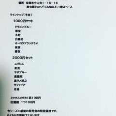 うぐいすメダカ即売会