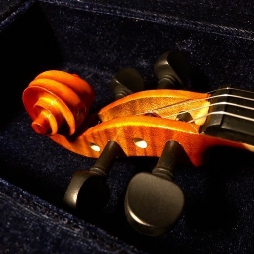 バイオリン Altezza アルテッツァ No.50 4/4 新品　