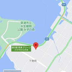 美味しい枝豆 収穫体験！(農薬、化学肥料不使用)