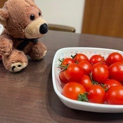 静岡駅の北口方面で美味しいお店教えてください！🤗（ジャンルは問い...