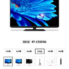  2022年6月モデル液晶AQUOS 4T-C55EN1