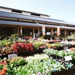 朝倉市　三連水車の里 あさくらフリマ　出店者募集中