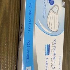 大人用マスク