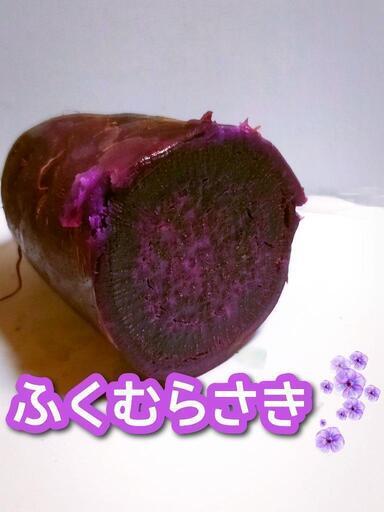 カラフルさつまいも訳ありセット
