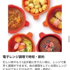 (取引終了)マイヤーレンジでチンする圧力鍋(新品、未使用)  ☀️大幅値下げしました！！の画像