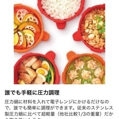 (取引終了)マイヤーレンジでチンする圧力鍋(新品、未使用)  ☀️大幅値下げしました！！の画像