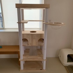 キャットタワー キャット タワー 大型猫 スリム 省スペース 据...