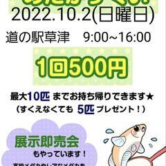 2022.10.2めだかすくい