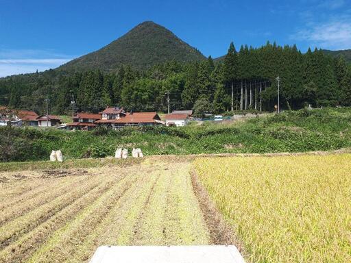 令和5年産 広島県龍頭山麓 ひとめぼれ 玄米30kg